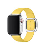 Modern Buckle Leather