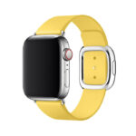 Modern Buckle Leather