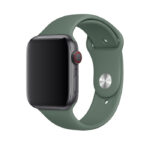 Green Sport Band