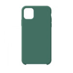 iPhone 11 Pine Green